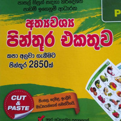 SCRAP PICTURE BOOK