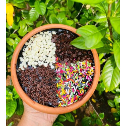 Choclate Pot Cake (Four Person Size)