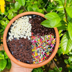 Choclate Pot Cake (Four Person Size)