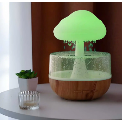 Rain cloud Humidifier Lamp
