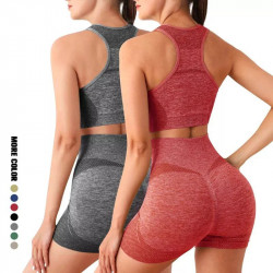 Seamless Yoga Outfit for Women Workout Outfits