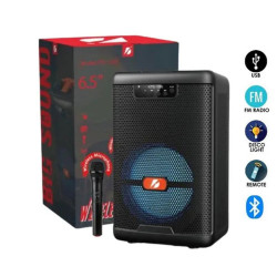 WIRELESS SPEAKER KBroad KTS-1330 with wireless mic
