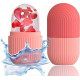 Silicone Ice Cube Trays Beauty ,ice Cube Trays Be