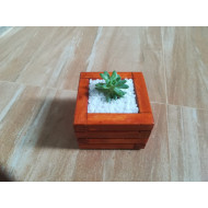 Wooden planter boxes for succulent plants