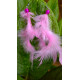 Handmade Feather Earing Handmade Feather Earing