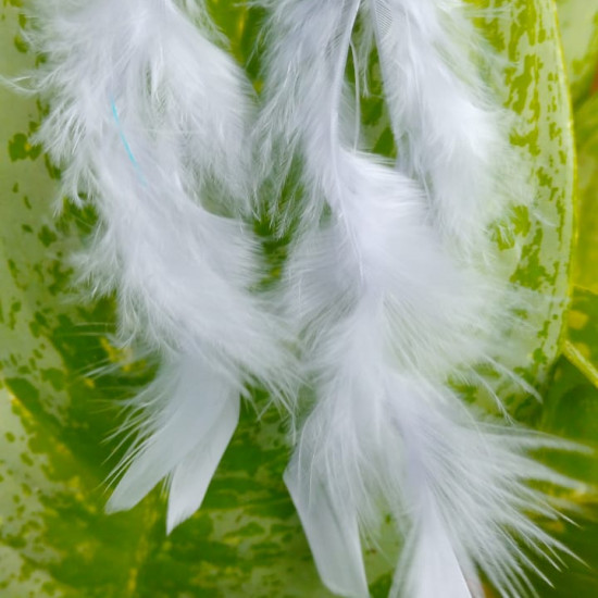 Handmade Feather Earing Handmade Feather Earing