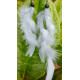 Handmade Feather Earing Handmade Feather Earing