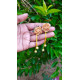 Handmade Earing Handmade Earing