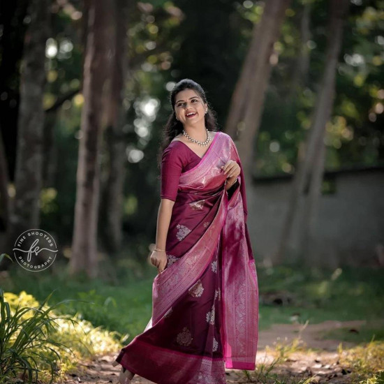 Banarasi Saree with blouce Banarasi Saree with blouce