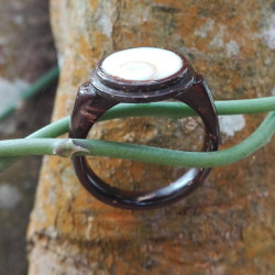 Coconutshell Women Ring
