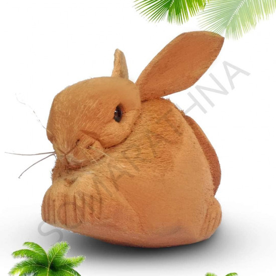 Coconut Husk Rabbit