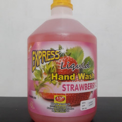 Express Hand Wash 4L