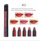 Lipstick kit - 5 in One