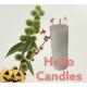 Pillare10*3.5cm Candles