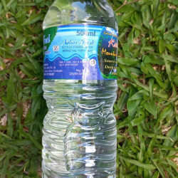 Natural Mineral Water 500ml