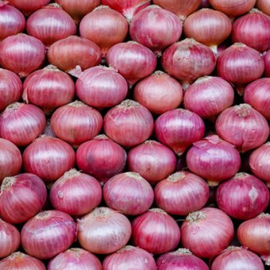 BIG ONION 1 Kg BIG ONION 1 Kg