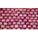 BIG ONION 1 Kg BIG ONION 1 Kg