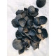Coconut charcoal - පොල් කටු   අඟුරු