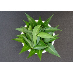 DRY NEEM LEAVES / KOHOMBA/ කොහොඹ කොළ -500g 