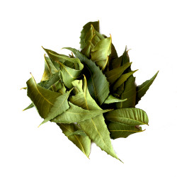 DRY NEEM LEAVES / KOHOMBA/ කොහොඹ කොළ -500g 