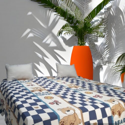 Printed Bedsheet Set (60' x 90')